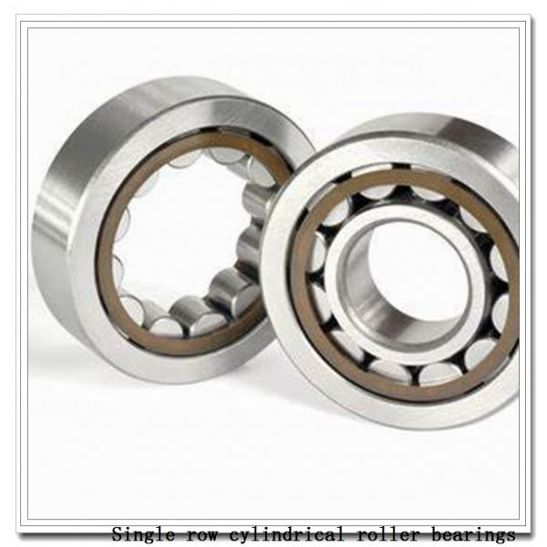 NU2948M Single row cylindrical roller bearings #1 image