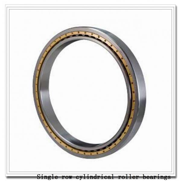 NUP328M Single row cylindrical roller bearings #2 image