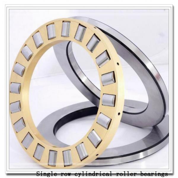 NU236EM Single row cylindrical roller bearings #1 image